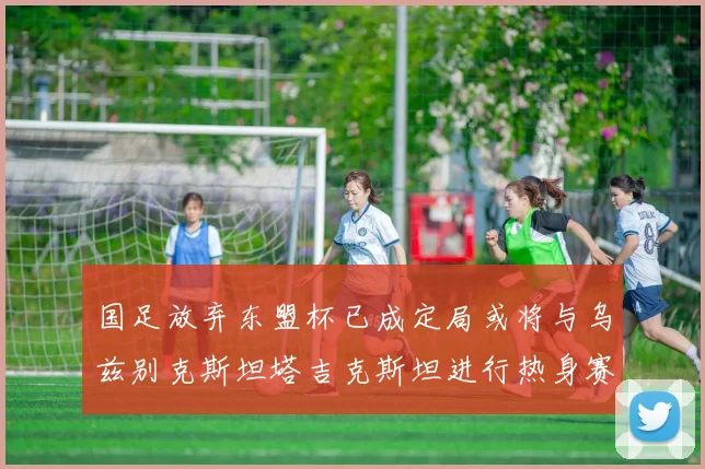 国足放弃东盟杯已成定局或将与乌兹别克斯坦塔吉克斯坦进行热身赛